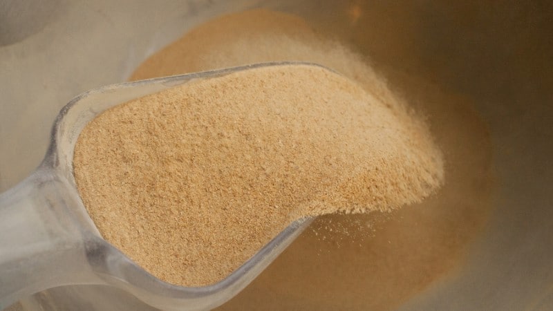 Aktif Yem Mayaları